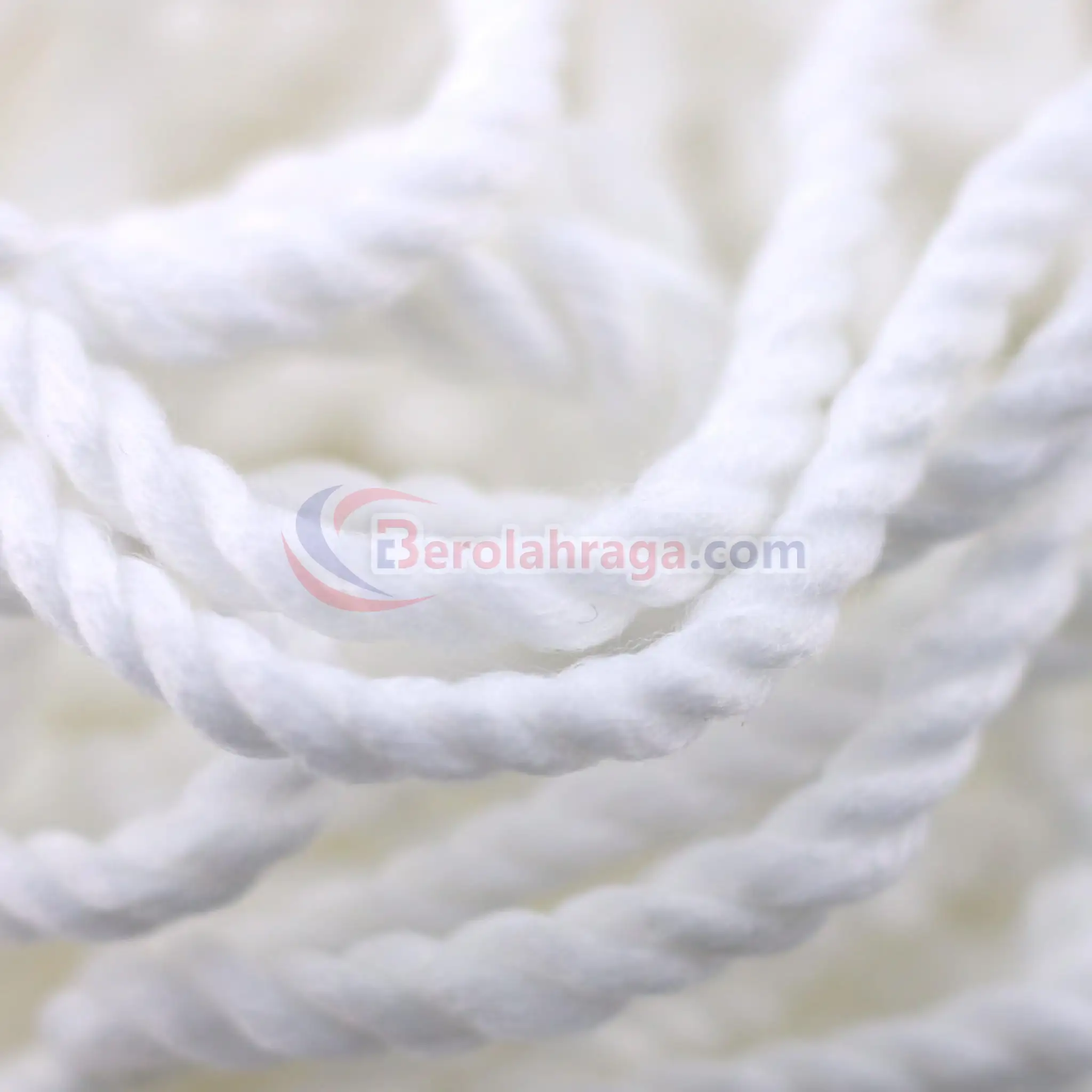 Jaring Gawang Sepak Go-Up