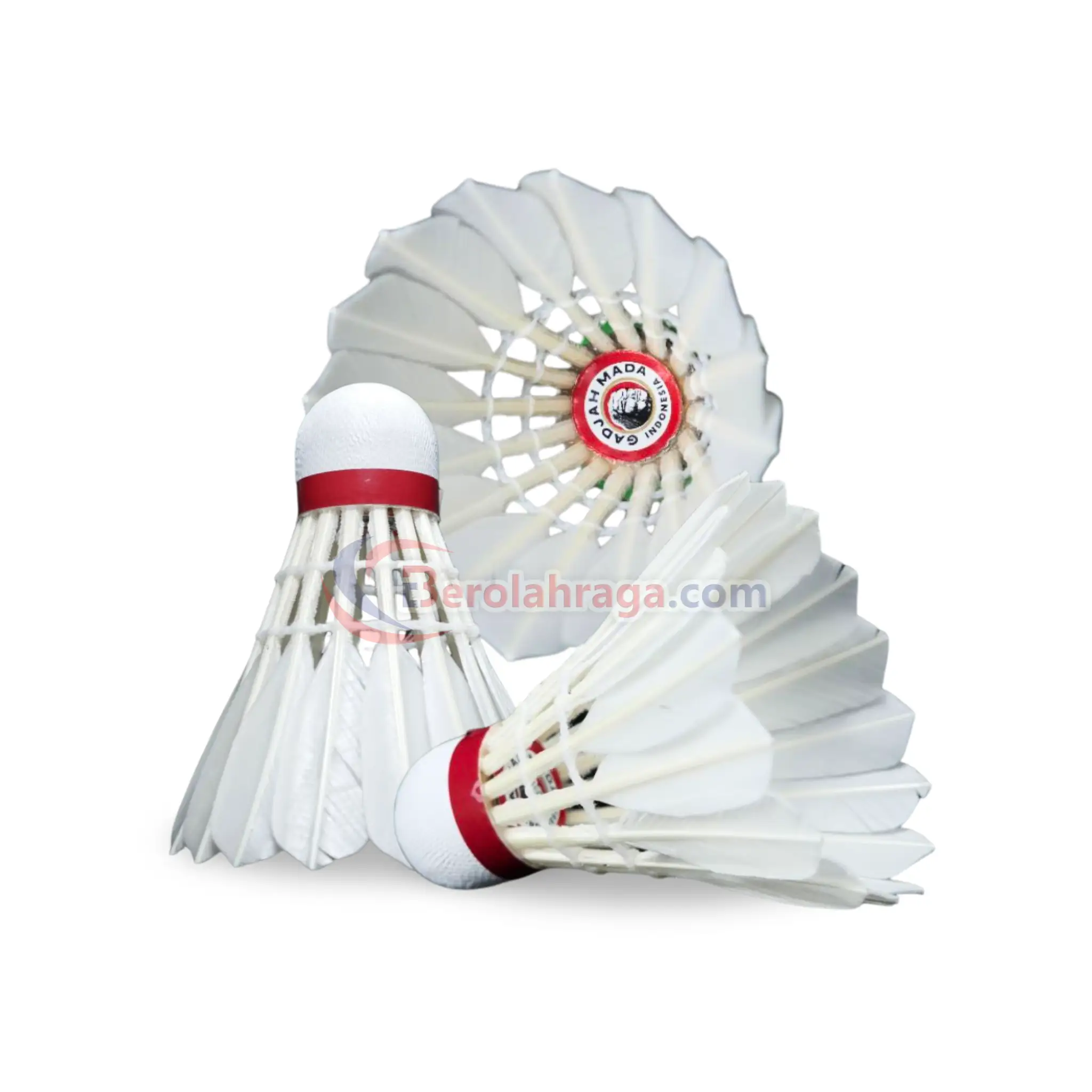 Shuttlecock Gadjah Mada