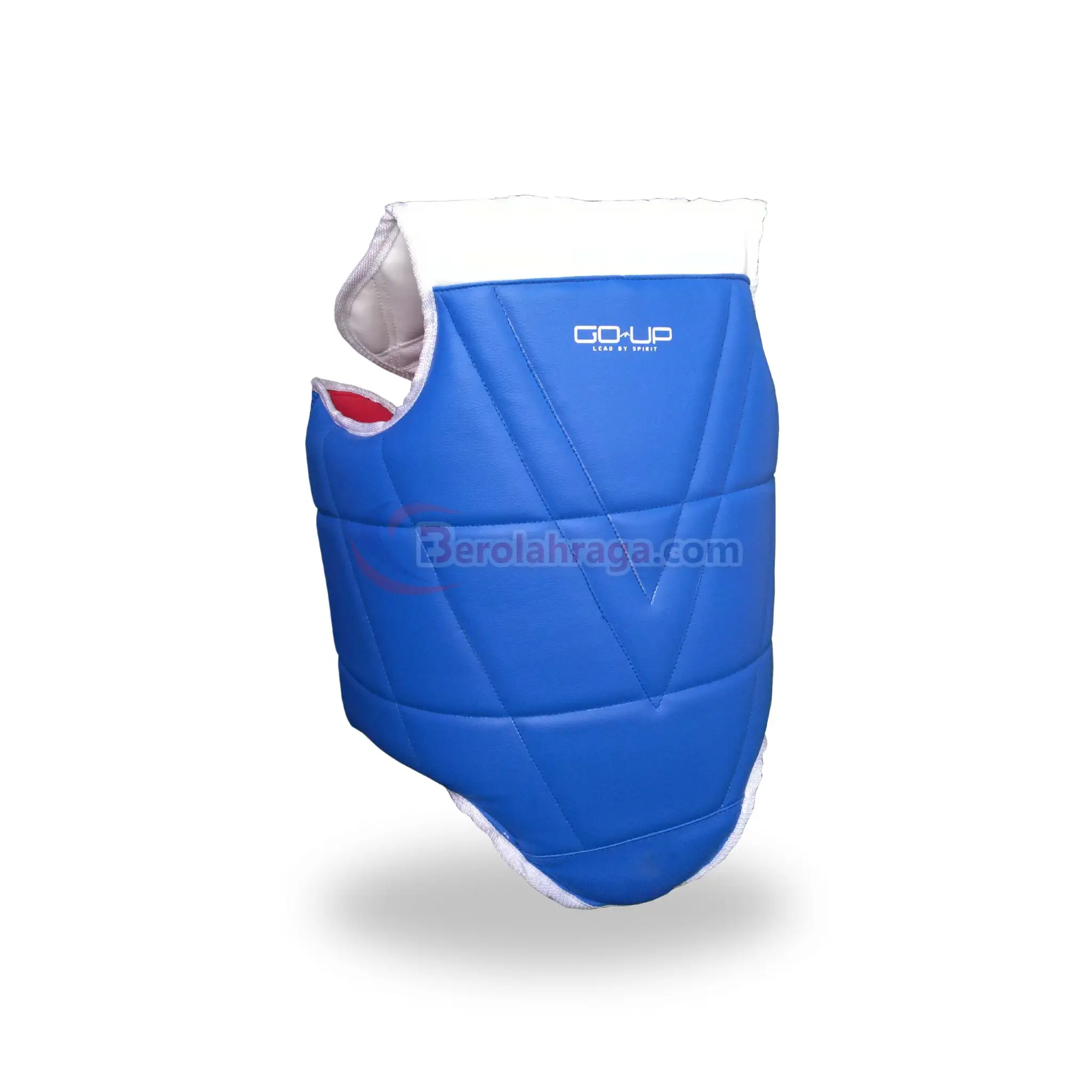 Body Protector Taekwondo Go-Up