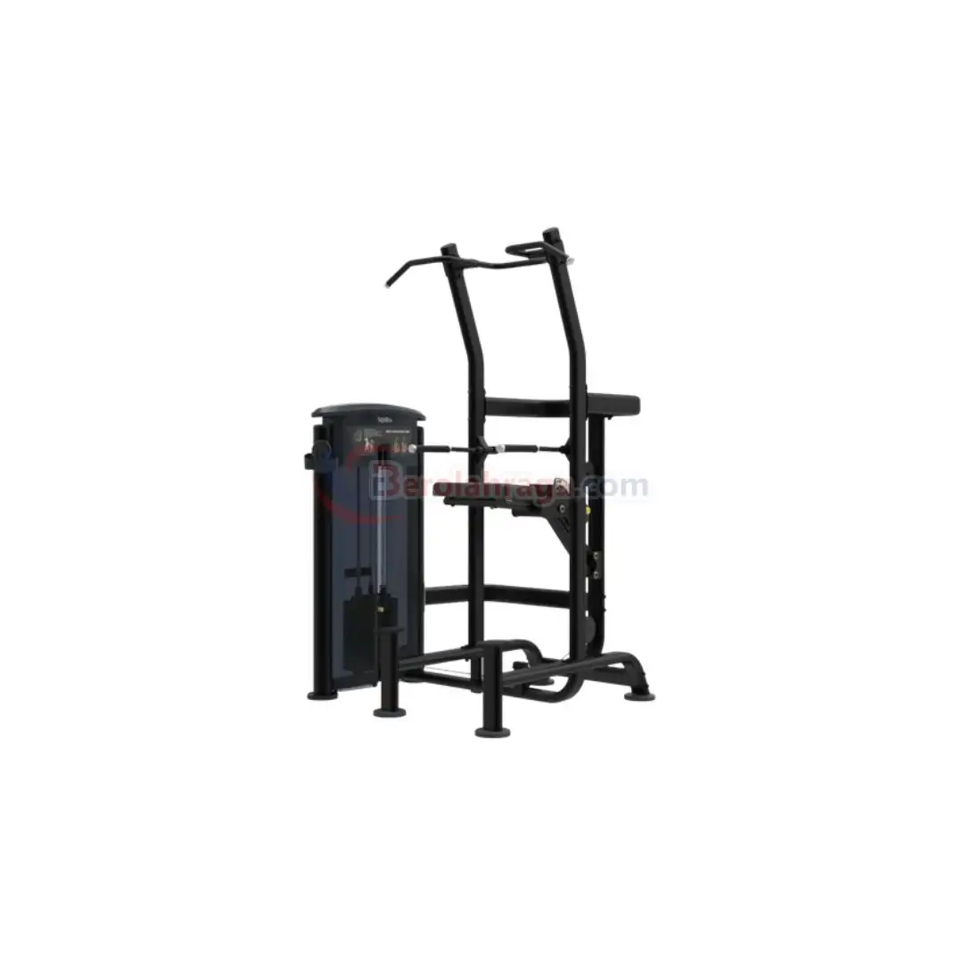 IT9520 Weight Assisted Chin/Dip
