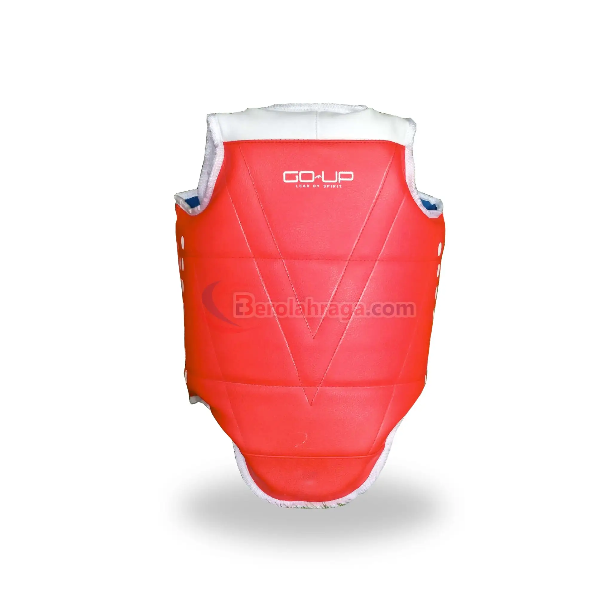 Body Protector Taekwondo Go-Up