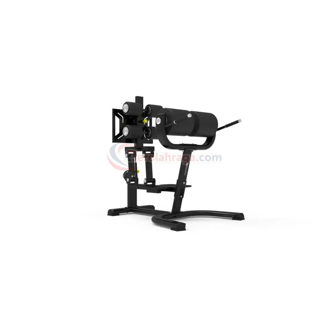 DH032 Glute Ham Bench